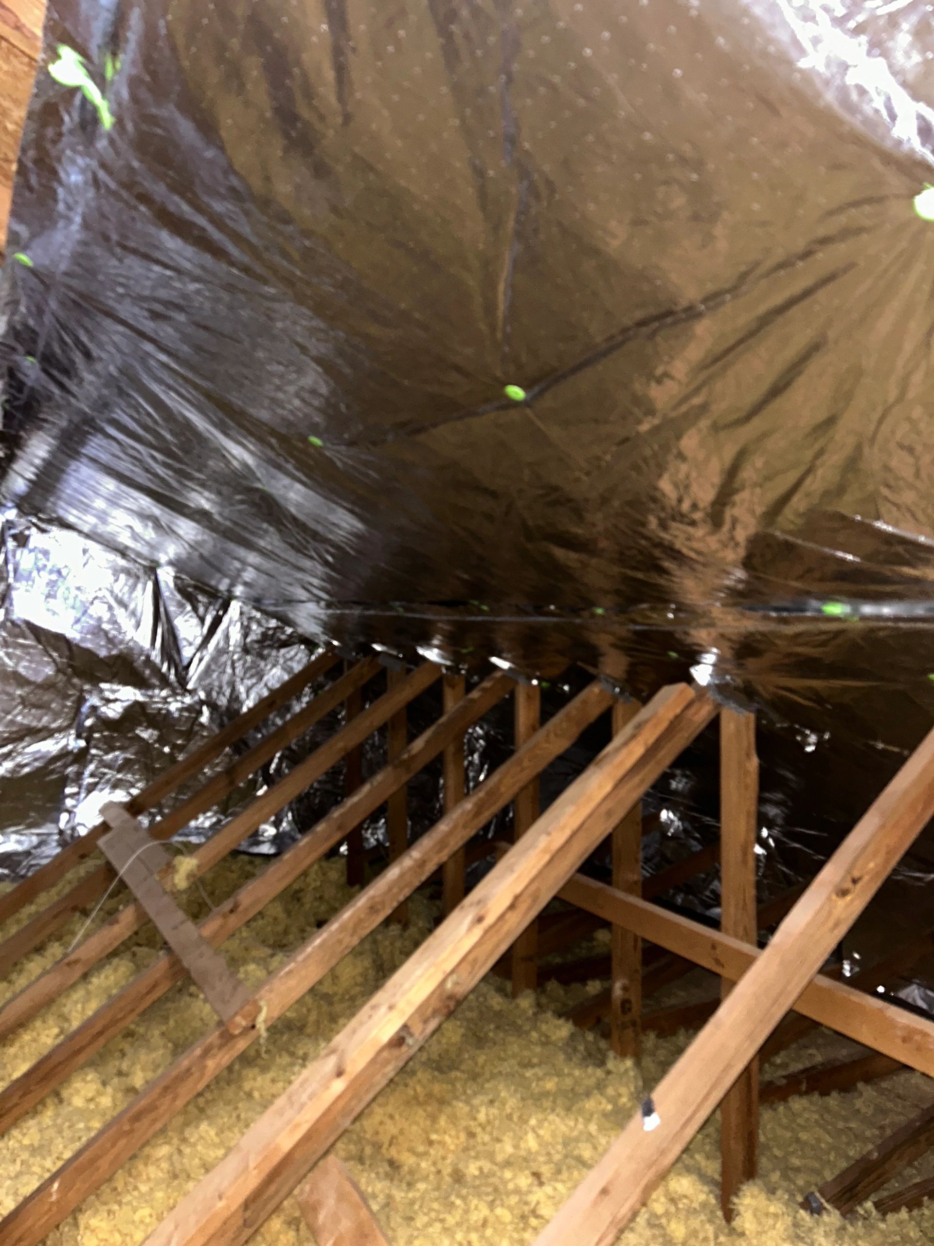Professional attic energy audit inspection